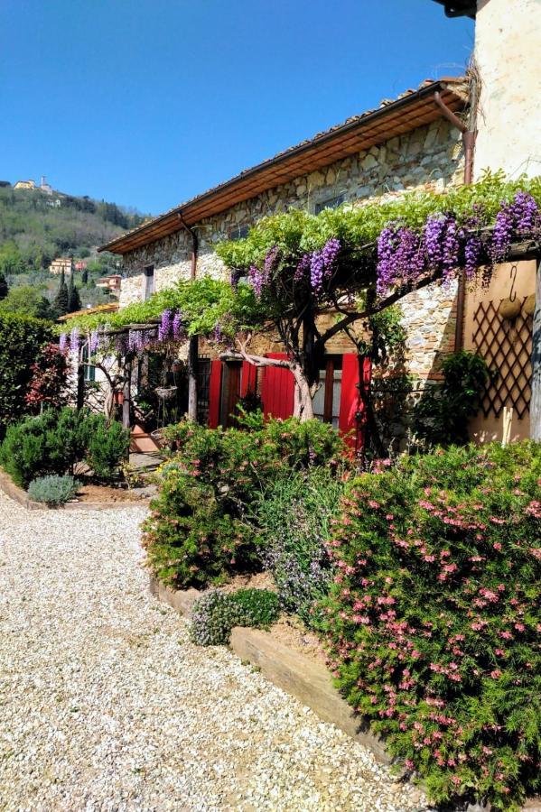 La Corte Del Falco Pieve a Nievole エクステリア 写真