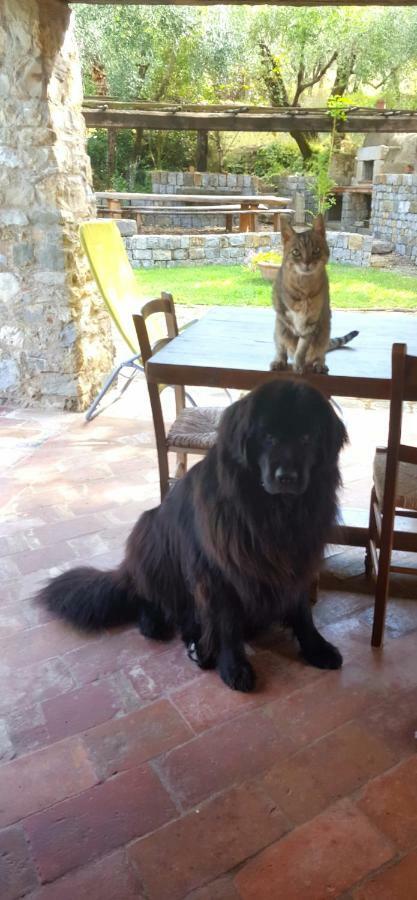 La Corte Del Falco Pieve a Nievole エクステリア 写真