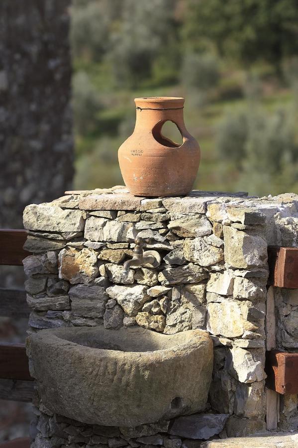 La Corte Del Falco Pieve a Nievole エクステリア 写真